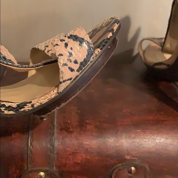 Sexy Alligator-Skin Platform Heels - Picture 6 of 6